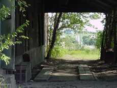 The cotton gin in Walburg