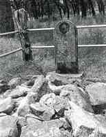 Marker by the Bandera Tragedy Tree 