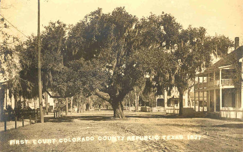 TX  Historic Tree - Columbus Court Oak 