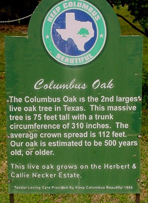 TX Famous Tree - Columbus Oak sign