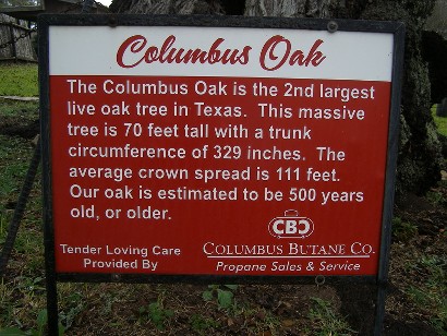 TX Famous Tree - Columbus Oak sign
