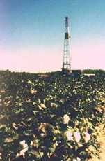 Oil well in a cotton field, Texas image