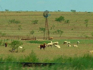 Ashtola Texas windmill and farm animals