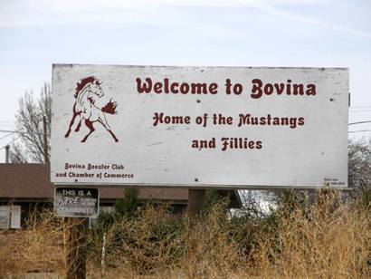 Welcome  to Bovina