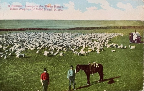 Canyon TX - Sheep Ranch summer camp