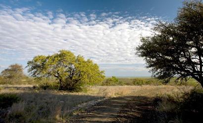 Eden Texas country scene