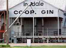 Inadale Gin 