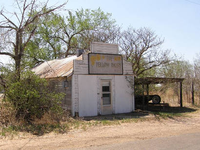 Jayton Tx - The Yellow Daisy 