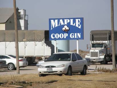 Maple Coop Gin sign, Maple Texas