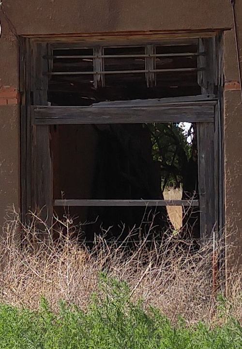 Newlin TX - Drug &amp; General Store 