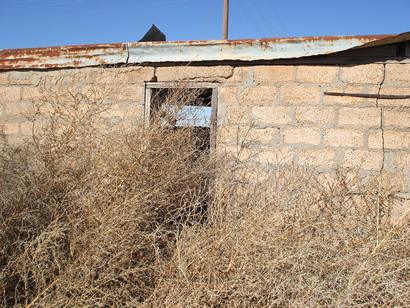 Braceros living quarters, Patricia Texas 1950s