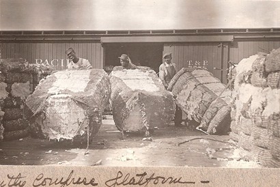 Sweetwater TX 1910 - Bales of Cotton Compress Platform
