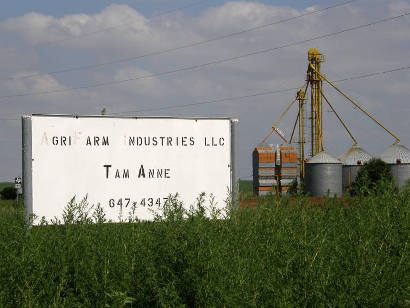 Tam Anne Tx - old sign