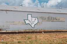 Raymondville Texas silhouette