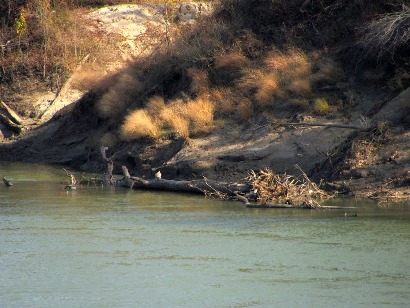 Trinity River, Navarro Crossing, Texas