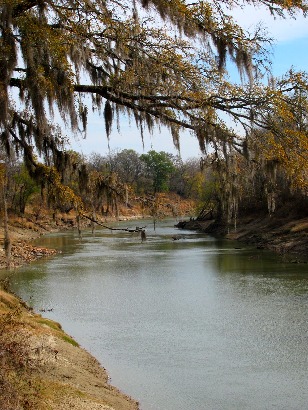 Trinity River, Navarro Crossing, Texas