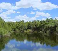 Pecos River between Iraan & Sheffield