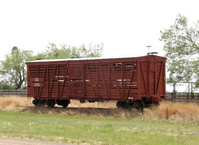 Shackelford County TX - Cattle Car