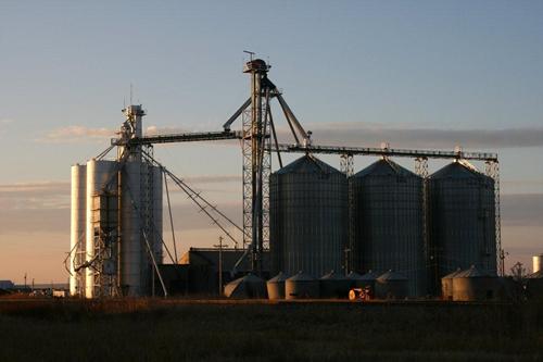 Texas Chillicothe Grain Stacks
