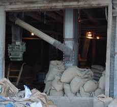 Feed store interior, Cisco, Texas