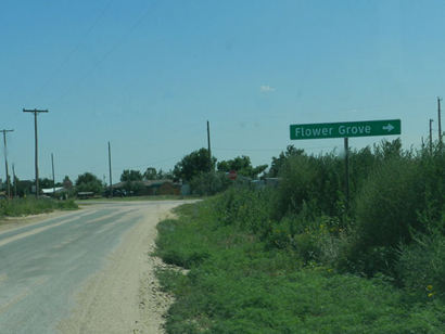 Texas - Flower Grove Road Sign