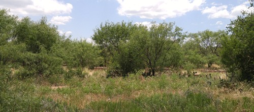 Ibex TX Shackelford County, oil refinery smokestacks & foundation ruins