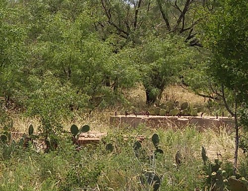 Ibex TX Shackelford County, oil refinery foundation ruins & cactus