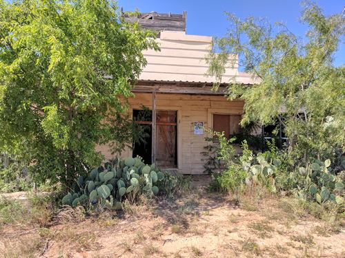 Sanco TX store with cactus