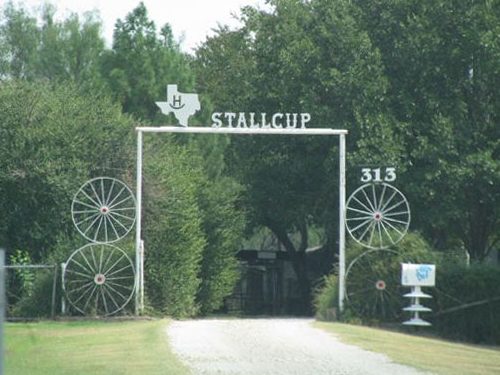 Scotland TX Ranch gate