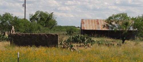 Coleman County TX - Cactus & ruins  in Shields 