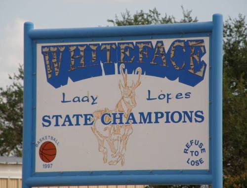 Whiteface Tx Lady Lopes State Champions Sign
