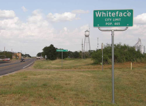 Whiteface Tx  City Limit Sign