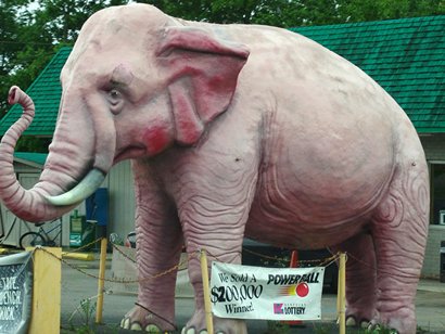 Pink Elephant - Lottery Winning Symbol
