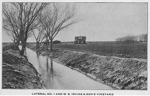 Barstow TX - W.E. Irvine & Son's Vineyard