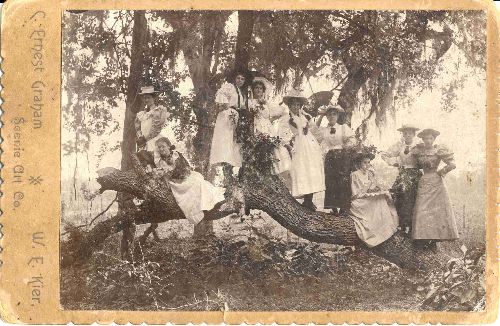 Colorado County TX - Women In Tree