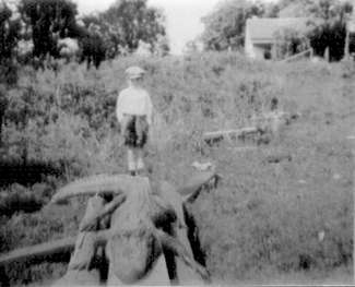 'Big Tooth' alligator in Port Neches, Texas 