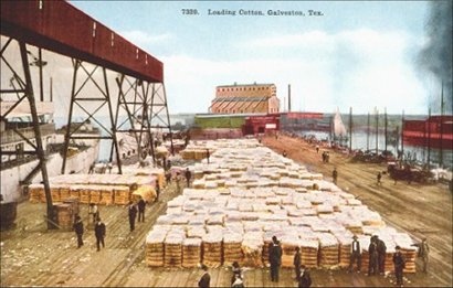 Loading cotton in Galveston Texas, old post card