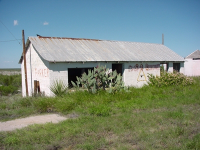 Cactus and graffiti in Cedar Station, Texas