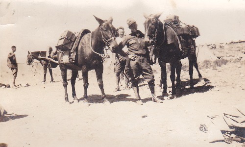 Marfa, TX - Private Schnitzer and two pack  mules