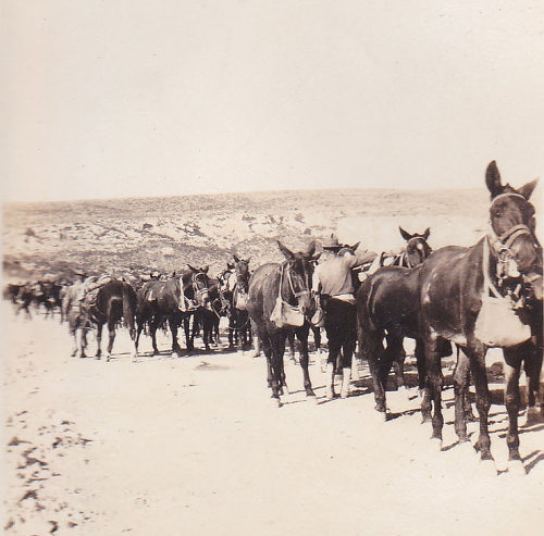 TX - Troop B 1st MG Squadron between Comstock and Del Rio