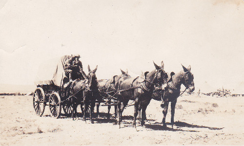 Escort wagon, Marfa TX, old photo