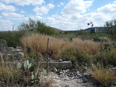 Juno Texas - cactus & ruins
