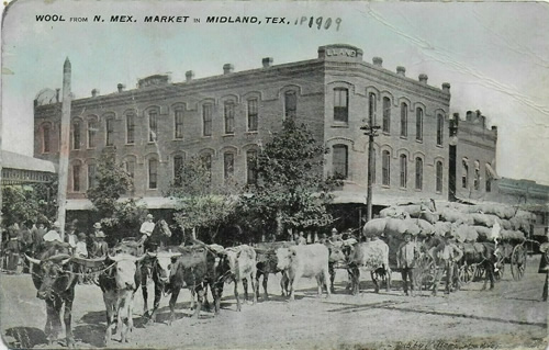 Midland TX  -  1909 Wool market