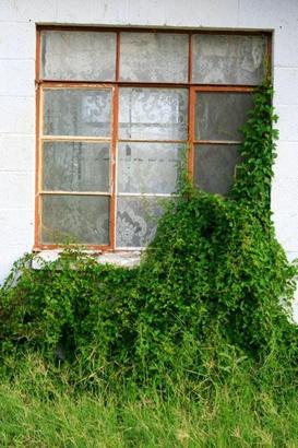 Pecos, Texas window