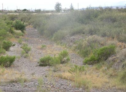 Saragosa TX -Toyah Creek