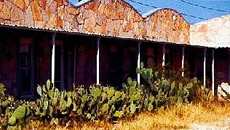 Cactus and vacant hotel 