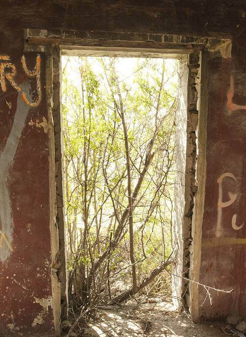 Shumla TX Motel Ruins  Interior