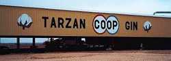 Tarzan Cotton Gin